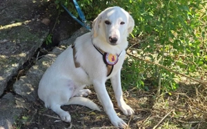 Kimi soll nicht im Shelter aufwachsen