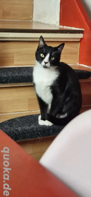 Sucht dringend neues zuhause