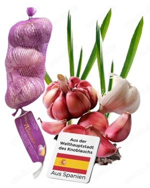 Violetter Pflanzknoblauch - 250 g - 6,99   (27,96   kg) inkl. MwSt., zzgl. Versand
