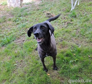 Die süße Josie Bild 4