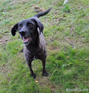 Die süße Josie Bild 3