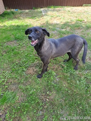 Die süße Josie Bild 2