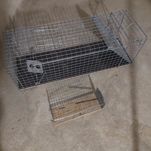 Marderlebendfalle + Rattenlebendfalle 