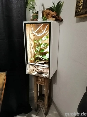 3x 30x30x60 Terrarien 