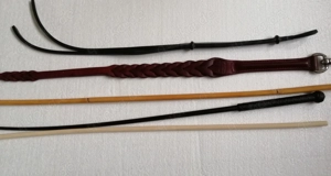 Du bist Studentin und prokrastinierst?