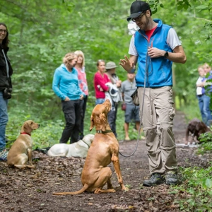 Hundetraining Stuttgart: Kurs für Junghunde & Pubertiere   Start am Wochenende 11 +12 Juli