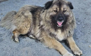 zaghafte Maddy möchte dein Herz erobern