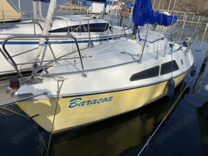 Jollenkreuzer HAI 710