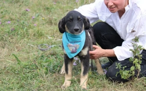 Möchtest du mit Lyo zusammen glücklich sein? 			