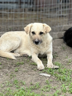 Marli W ca. 45 cm   die Fürsorgliche