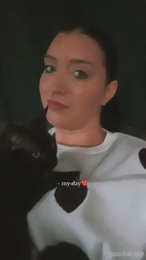 katzen in gute Hände zu vergeben 