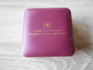 Kanada 10 Dollar Silber Münze Maple Leaf Forever 2011 1 2 oz Silber Bild 4