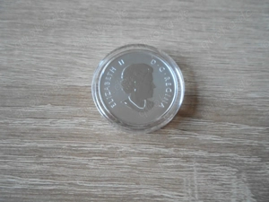 Kanada 10 Dollar Silber Münze Maple Leaf Forever 2011 1 2 oz Silber Bild 3