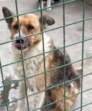 Alice wünscht sich endlich eine Heimat