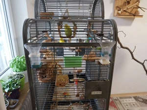 Vogelkäfig San Remo III, Antik