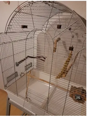 Vogelkäfig Memphis II - Platinum von Montana Cages Montana Cages