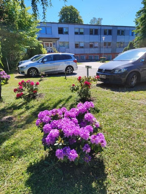 vermiete barrierefreie Räume f. Pflege & Betreuung, Praxis, Büro o. Schulung im Herzen v. Weißwasser