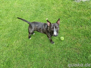 Ich bin Floyd ich suche Mädchen