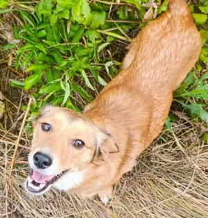 Hetty sucht ihr Glück Bild 2