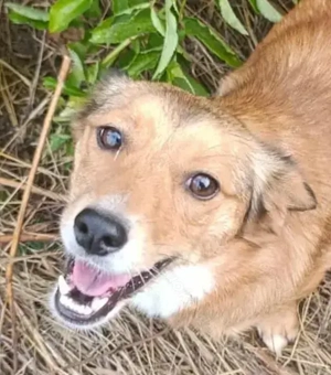 Hetty sucht ihr Glück