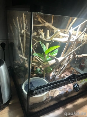 Exo Terra 45x45x45 Komplett