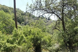 Baugrundstück 300m2 Strand 4-5km. Meerblick , Naturwasser Quelle Bild 3