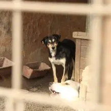 Marco ca. 47 cm - möchte unsichtbar sein 