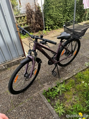 Bulls Crossbike Street Fahrrad Damen 