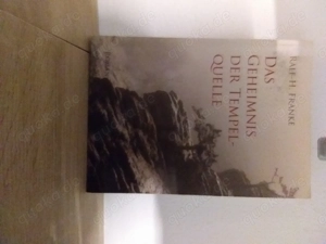 Das Geheimnis der Tempelquelle von Ralf-H. Franke (2011, Taschenbuch)