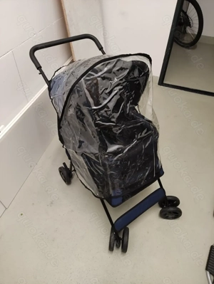 Buggy für junge und alte Tiere