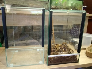 7 Terrarien komplett Abgabe 