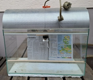 Terrarium mit Beleuchtung