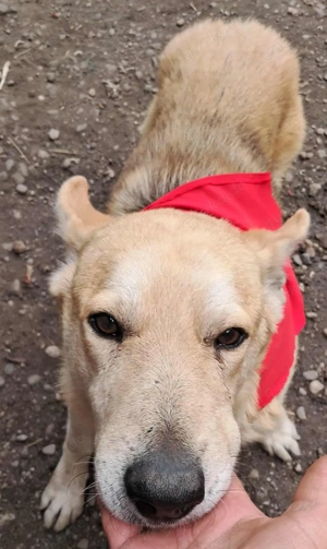 Spencer sucht sein Traumzuhause!  Bild 2