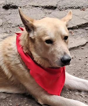 Spencer sucht sein Traumzuhause!  Bild 6