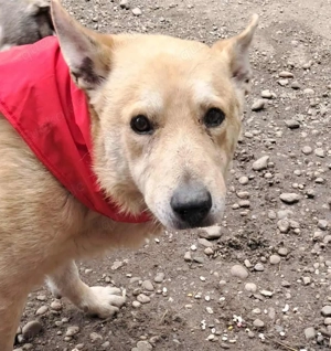 Spencer sucht sein Traumzuhause!  Bild 5