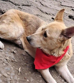 Spencer sucht sein Traumzuhause!  Bild 10