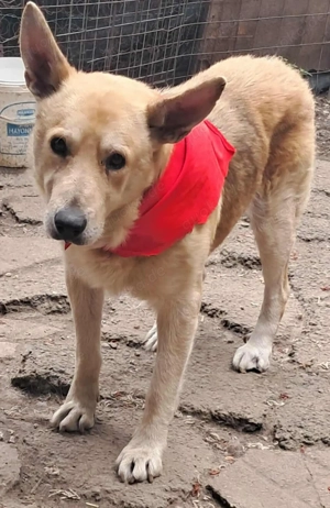 Spencer sucht sein Traumzuhause!  Bild 9