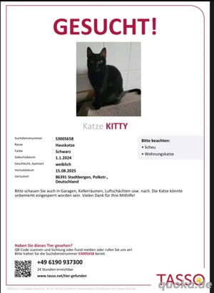 vermisst katze in 86391