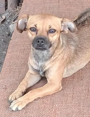 Klein, süß - Isolde