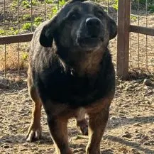 Max L ca. 30 cm   klein, aber oho