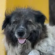 Reneé ca. 50 cm   die Menschenbezogene