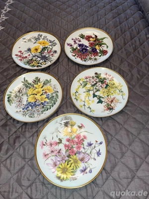 Set von 5 Sammlertellern "Blumen Deutschlands" - Franklin Porzellan 1980