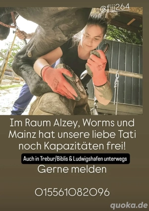 hufbearbeitung Hufpflegerin hat Kapazität 