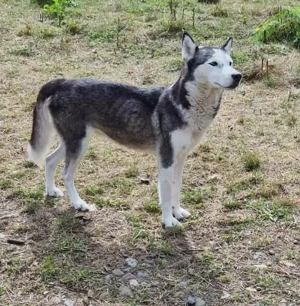 Luna braucht ein richtiges Zuhause Bild 2