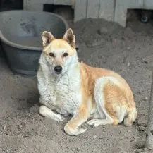 Kate K ca. 58 cm   ein Herz sucht Heimat