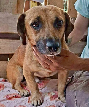 Janco - sozial & verspielt