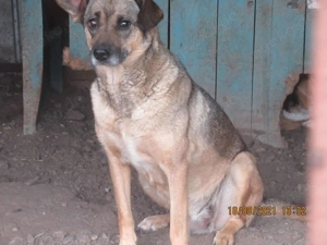 Yuna T ca. 50 cm   sucht Geborgenheit