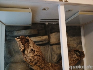 Terrarium verhandelbar 