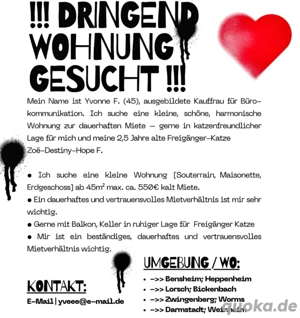 Wohnungsgesuch   Zuverlässige Mieterin mit Katze sucht langfristiges Zuhause