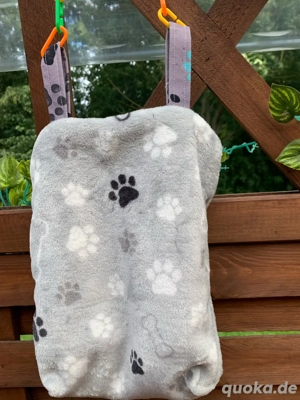 sugar glider Bild 2 sugar glider Bild 2